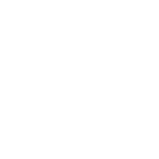 Road Master